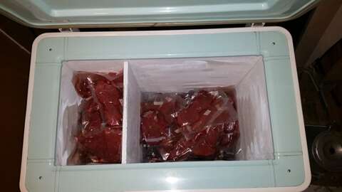 A picture of one of my freezers, filled roughly halfway with vacuum sealed meat